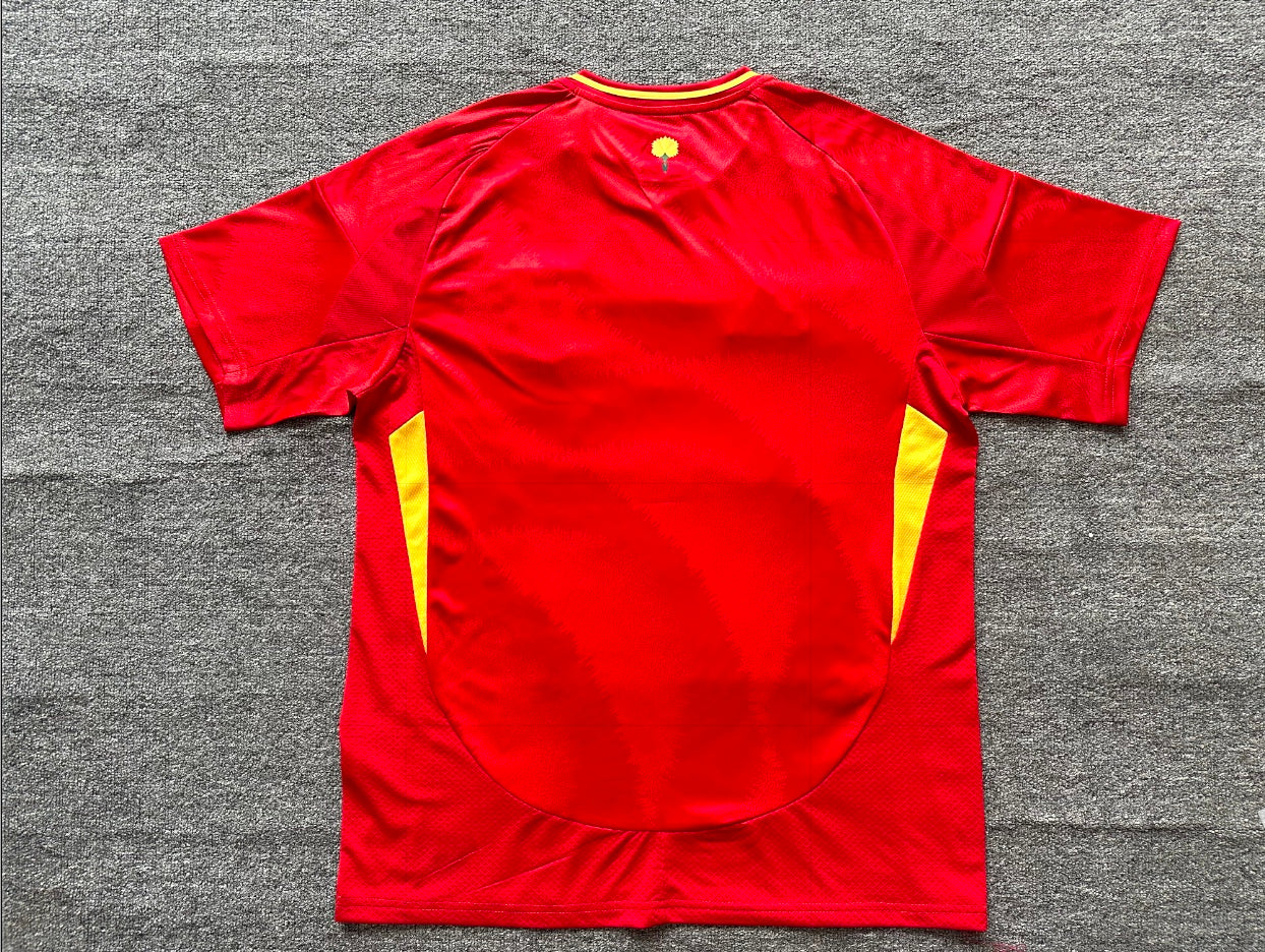 Spain Home Jersey Fan Version all sizes (Preorder)